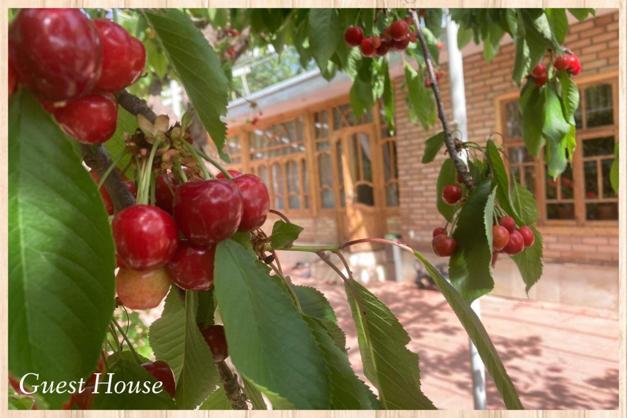 Spring Family Guest House Tersak Esterno foto